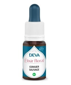 Cerisier sauvage